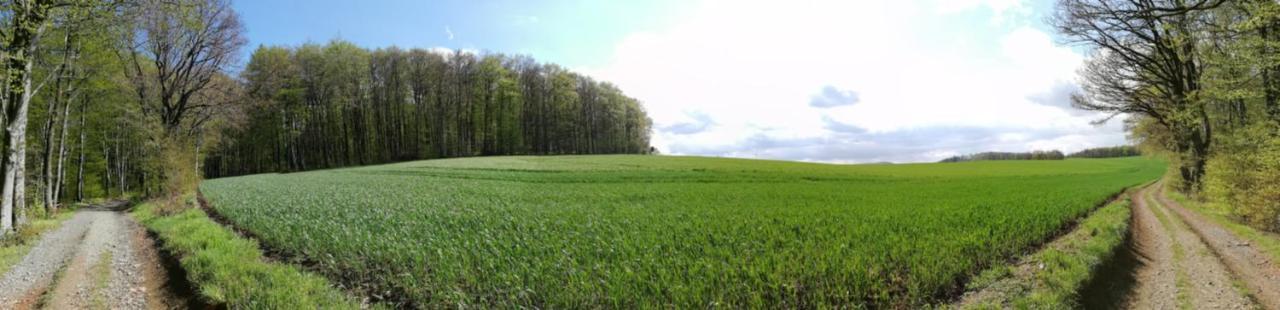 Am Waldrand Appartamento *
