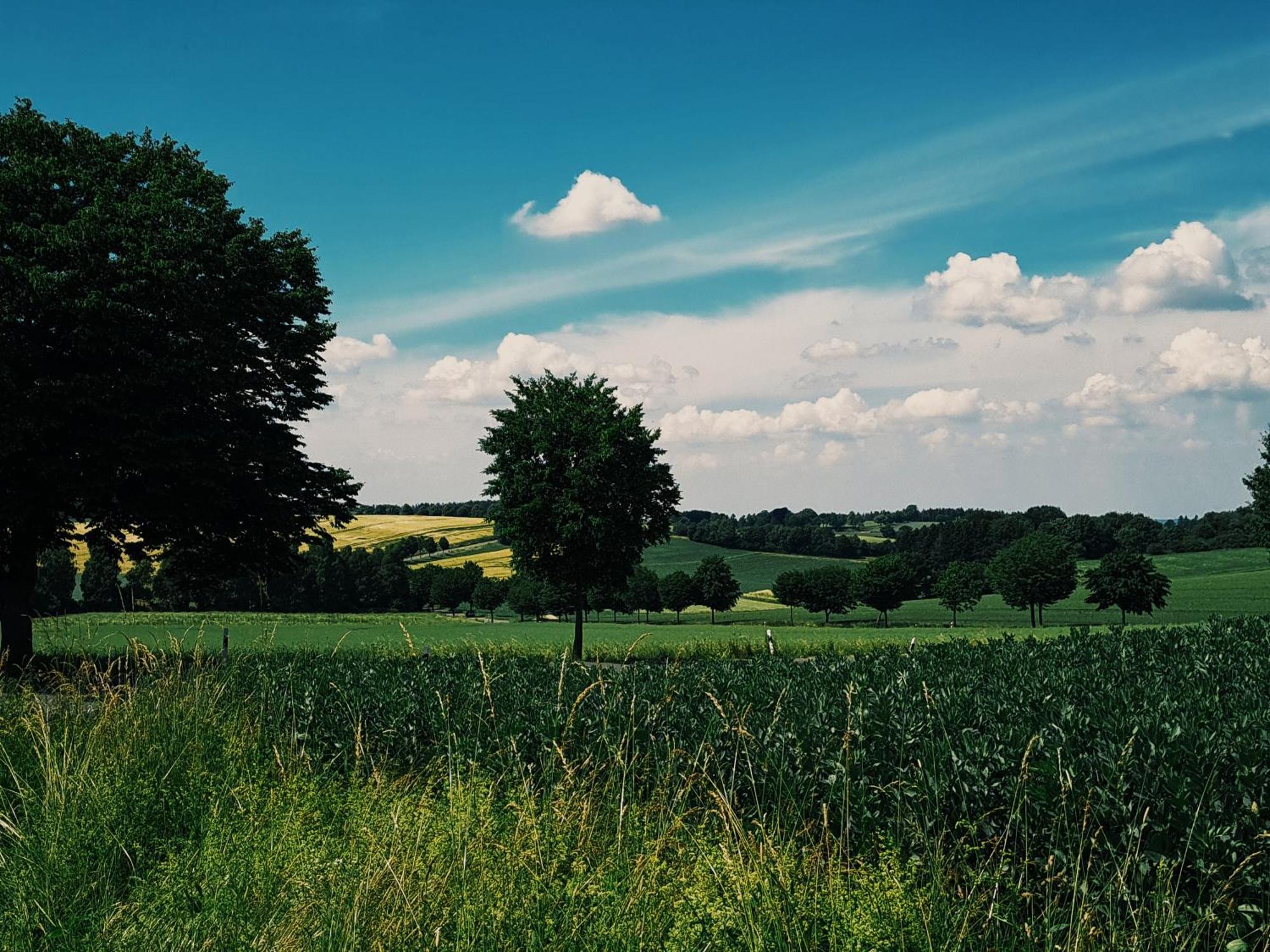 Appartamento Am Waldrand Kalletal