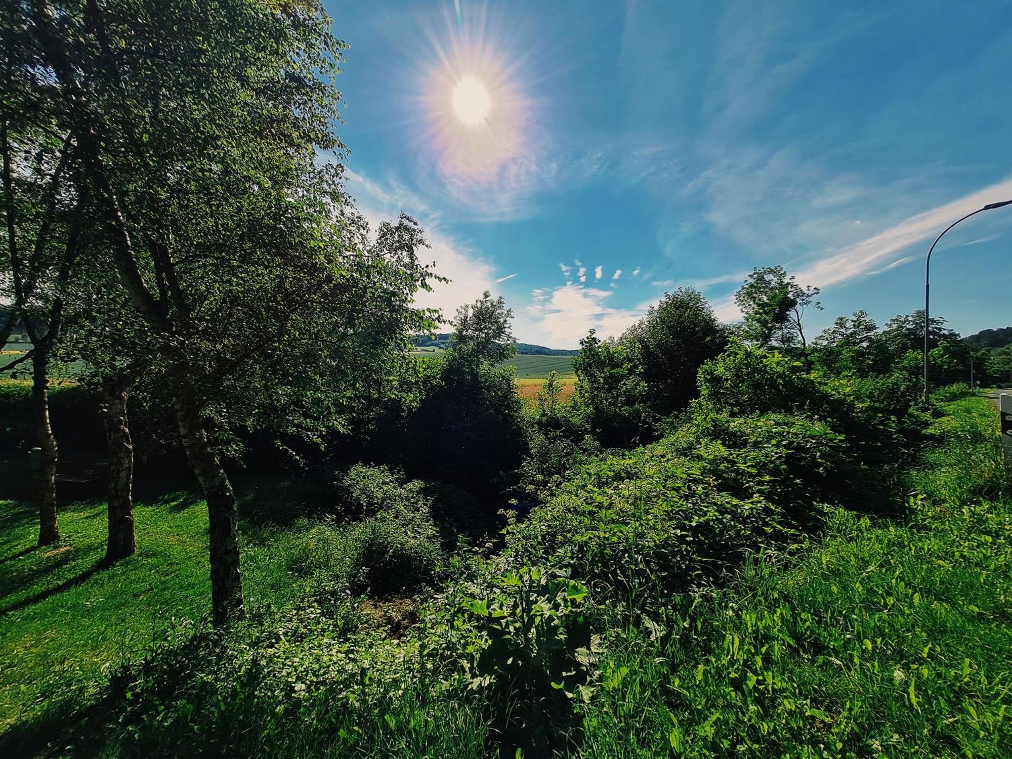 Am Waldrand Apartment Kalletal